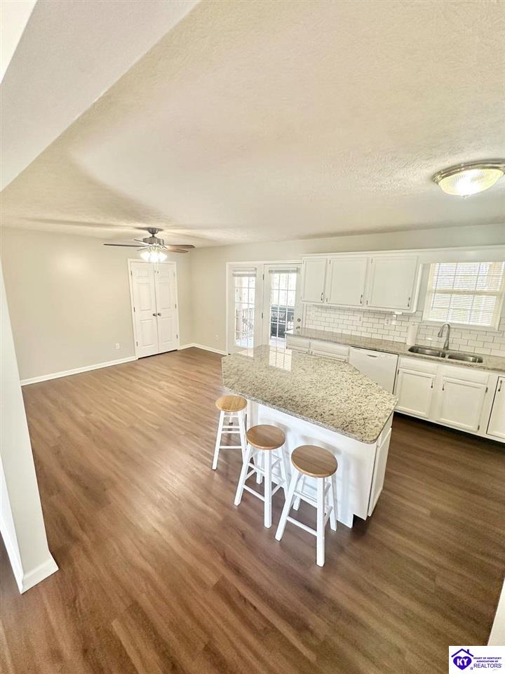 Listing Picture 490 Cherry Hill Drive Brandenburg, KY 40108 MLS HK24004212