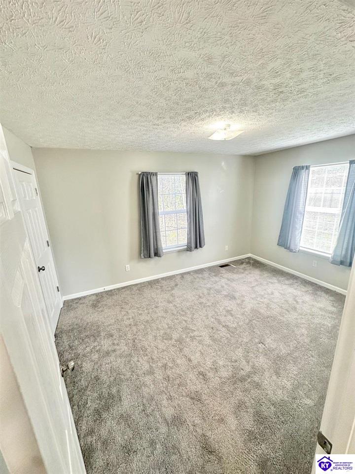 Listing Picture 490 Cherry Hill Drive Brandenburg, KY 40108 MLS HK24004212