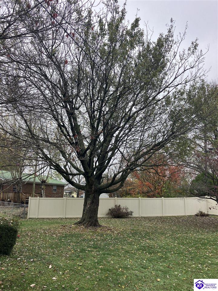 Listing Picture 902 Tyler Circle Elizabethtown, KY 42701 MLS HK24004242