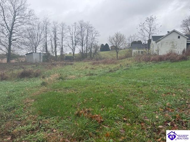 Listing Picture 393 Browns Lane Vine Grove, KY 40175 MLS HK24004245