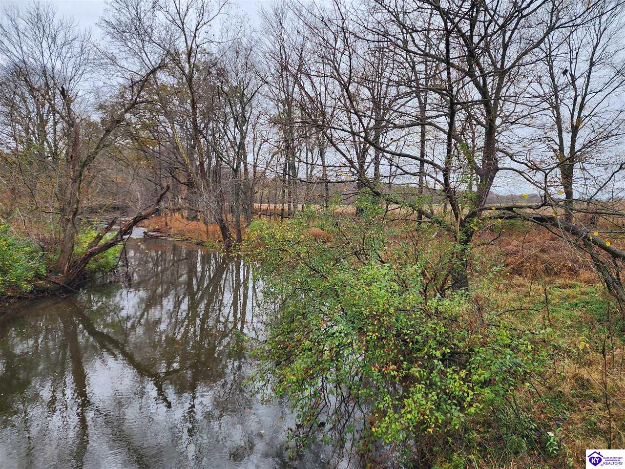 Listing Picture 393 Browns Lane Vine Grove, KY 40175 MLS HK24004245