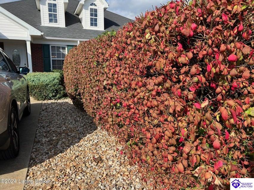 Listing Picture 206A Banjo Street Bardstown, KY 40004 MLS HK24004246