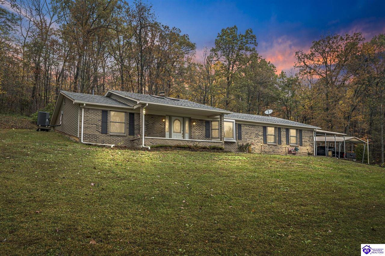 820 McCrary RoadGuston, KY 40142