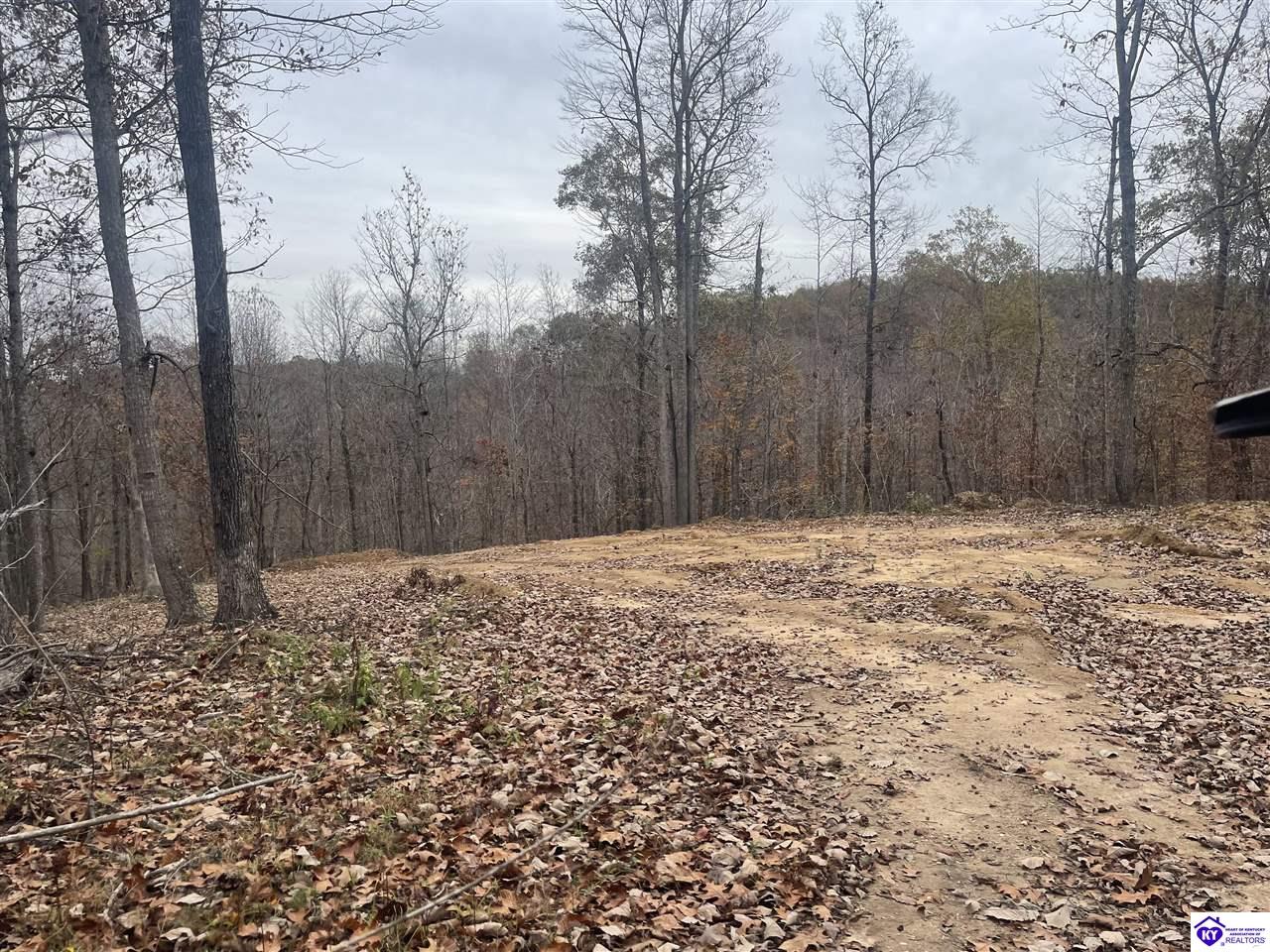 Parcel D Fuller Harding RoadCampbellsville, KY 42718