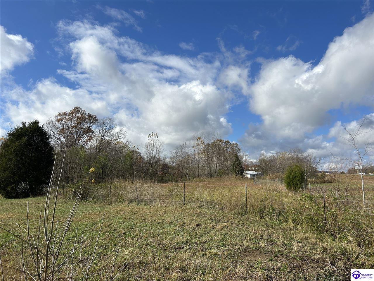 100 May Irby LaneCloverport, KY 40111