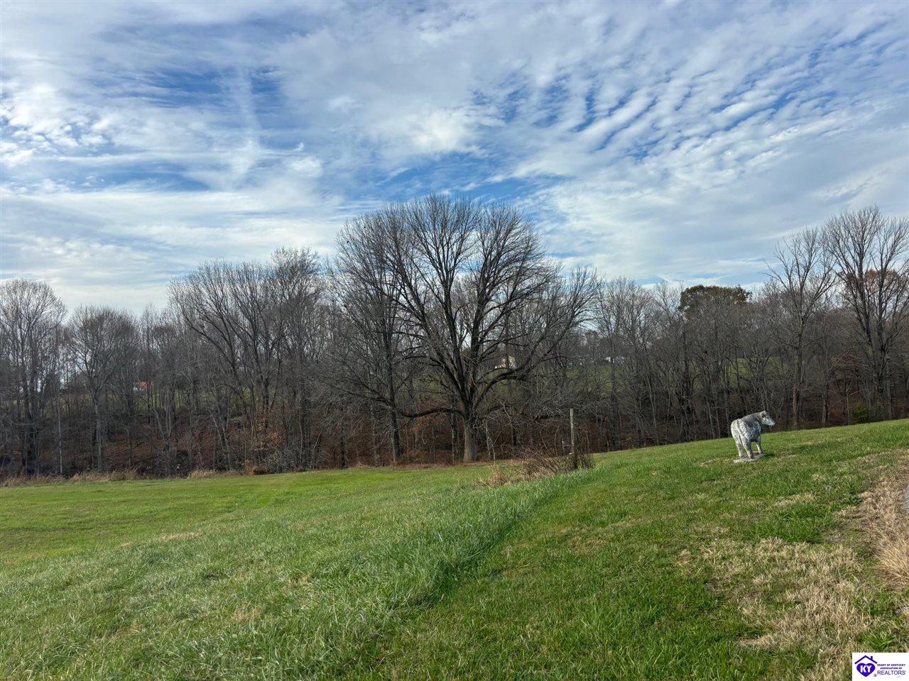 Listing Picture 399 Grimes Road Campbellsville, KY 42718 MLS HK24004401