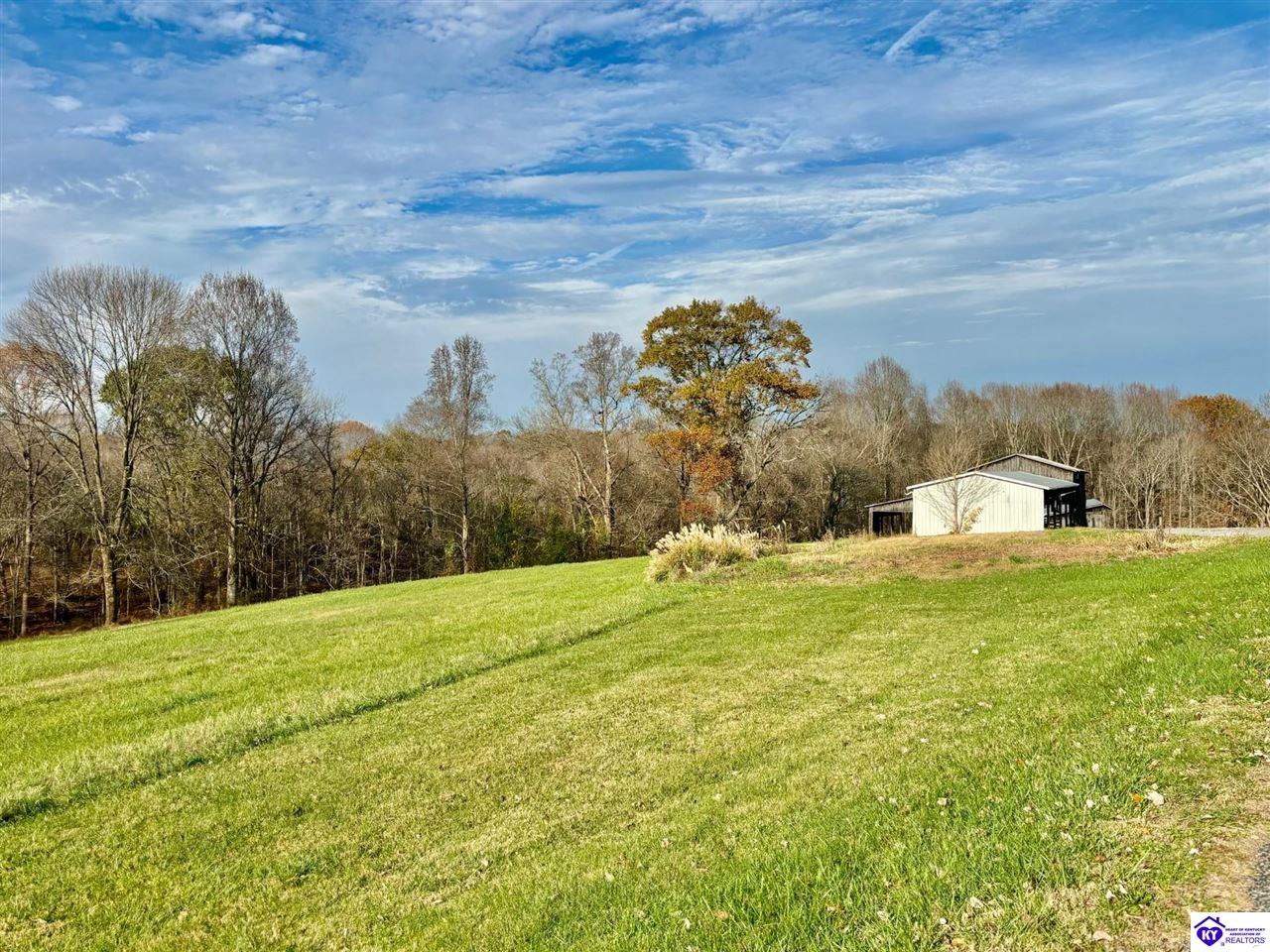 Listing Picture 399 Grimes Road Campbellsville, KY 42718 MLS HK24004401