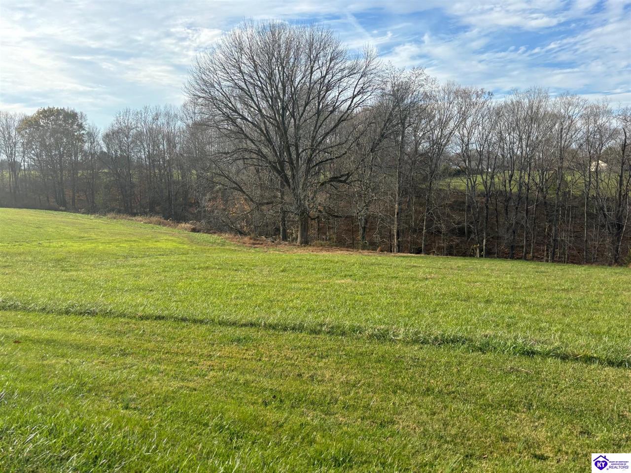 Listing Picture 399 Grimes Road Campbellsville, KY 42718 MLS HK24004401