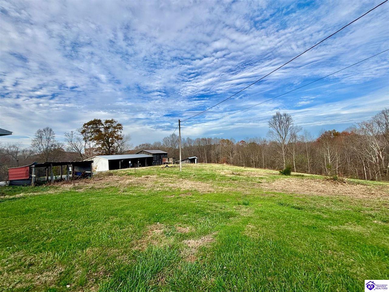 Listing Picture 399 Grimes Road Campbellsville, KY 42718 MLS HK24004401