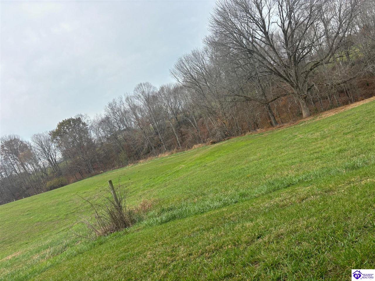 Listing Picture 399 Grimes Road Campbellsville, KY 42718 MLS HK24004401