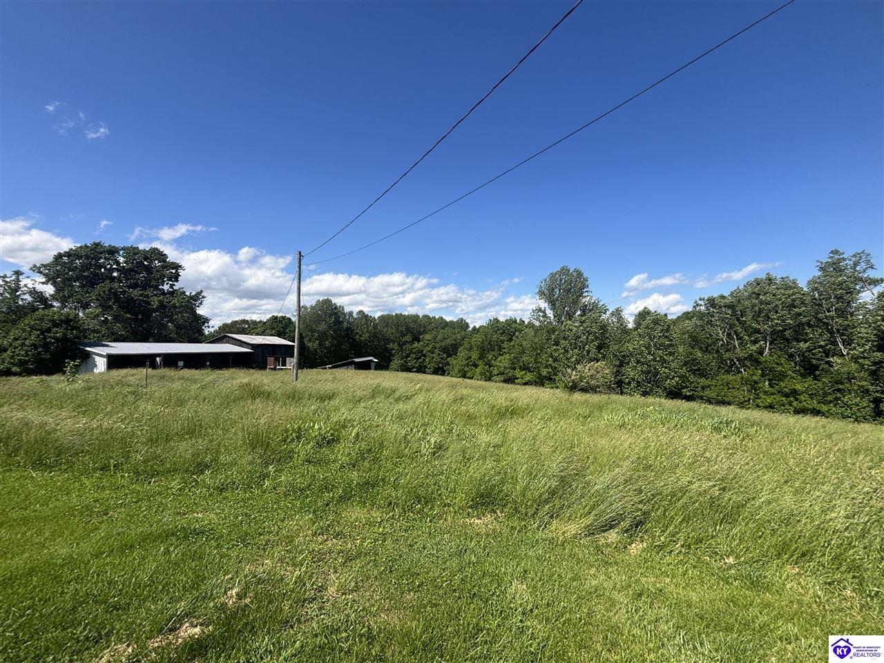 Listing Picture 399 Grimes Road Campbellsville, KY 42718 MLS HK24004401