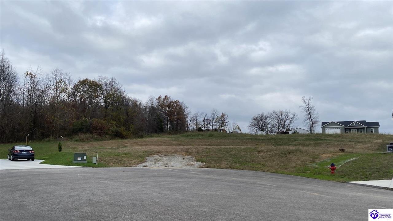 Lot 2G Fountain View DriveLeitchfield, KY 42754