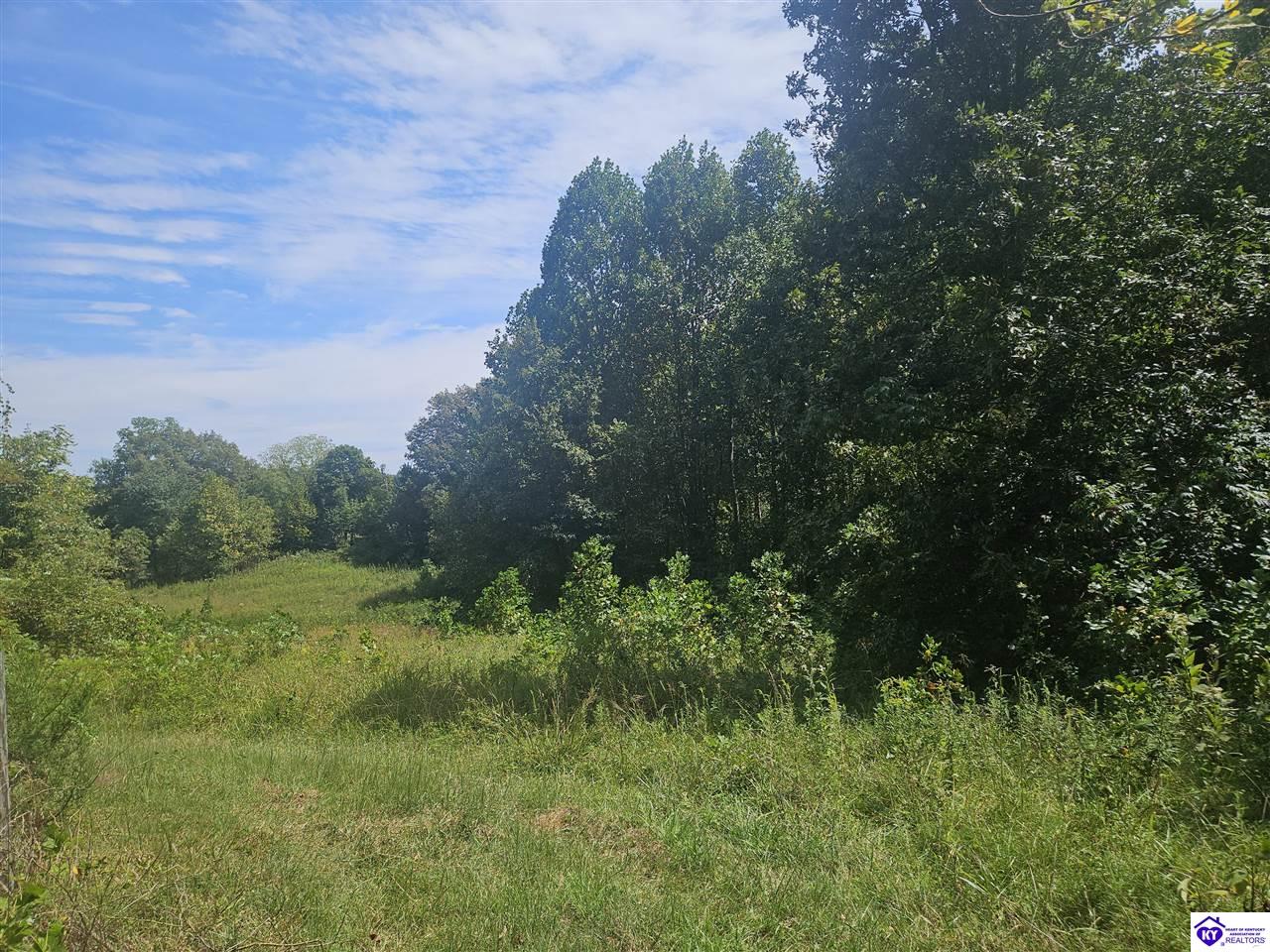 475 L and N Turnpike RoadHodgenville, KY 42748