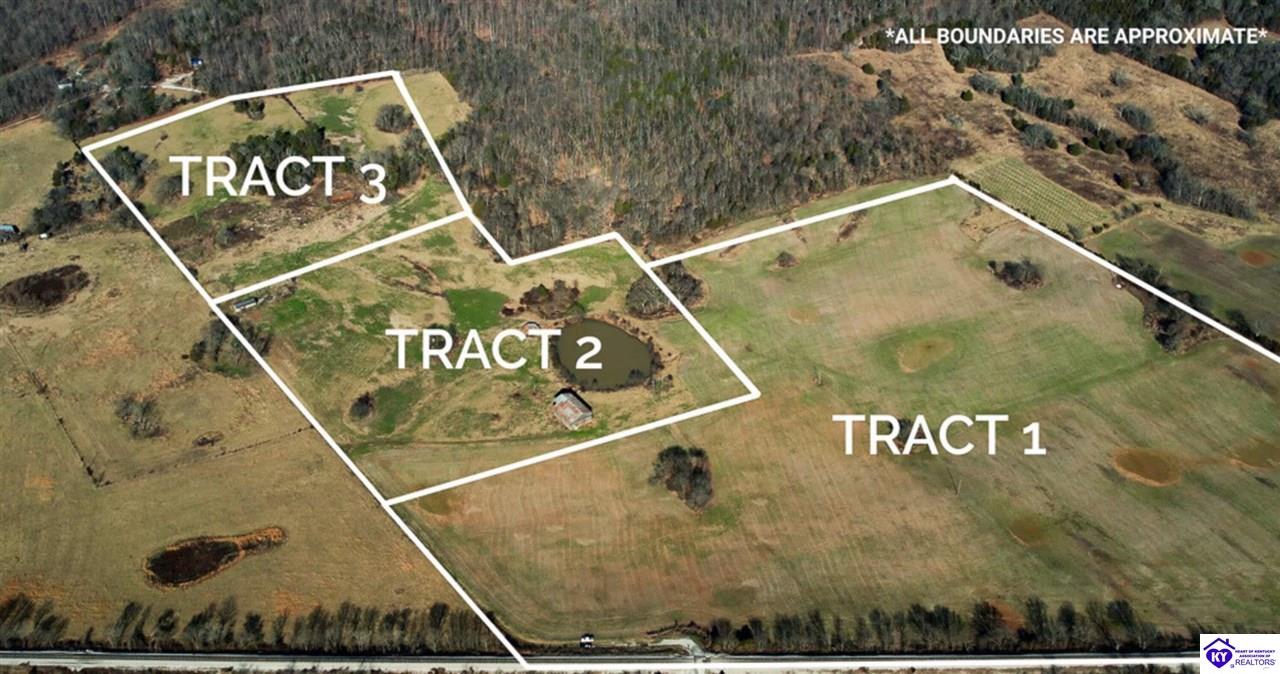 Tract 1 North Dixie Hwy Horse Cave, KY 42749 #1
