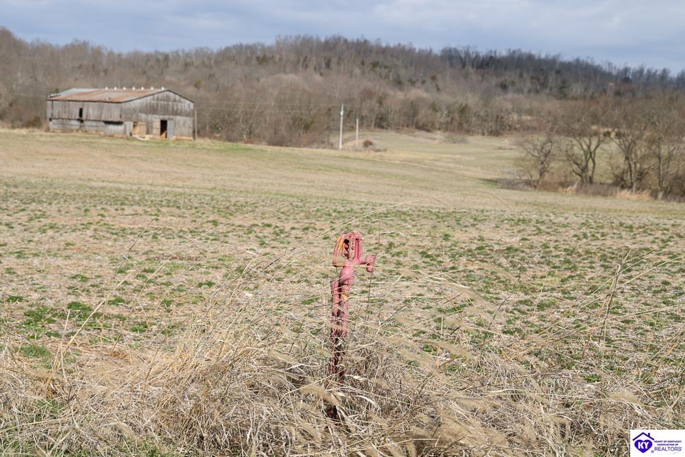 Tract 1 North Dixie Hwy Horse Cave, KY 42749 #3