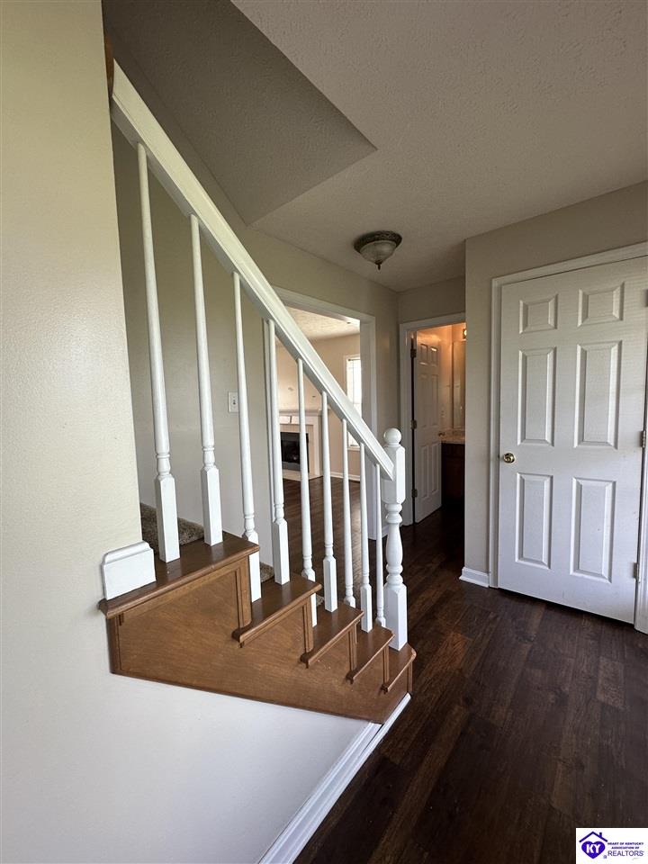 Listing Picture 127 Genrose Drive Rineyville, KY 40162 MLS HK24004509