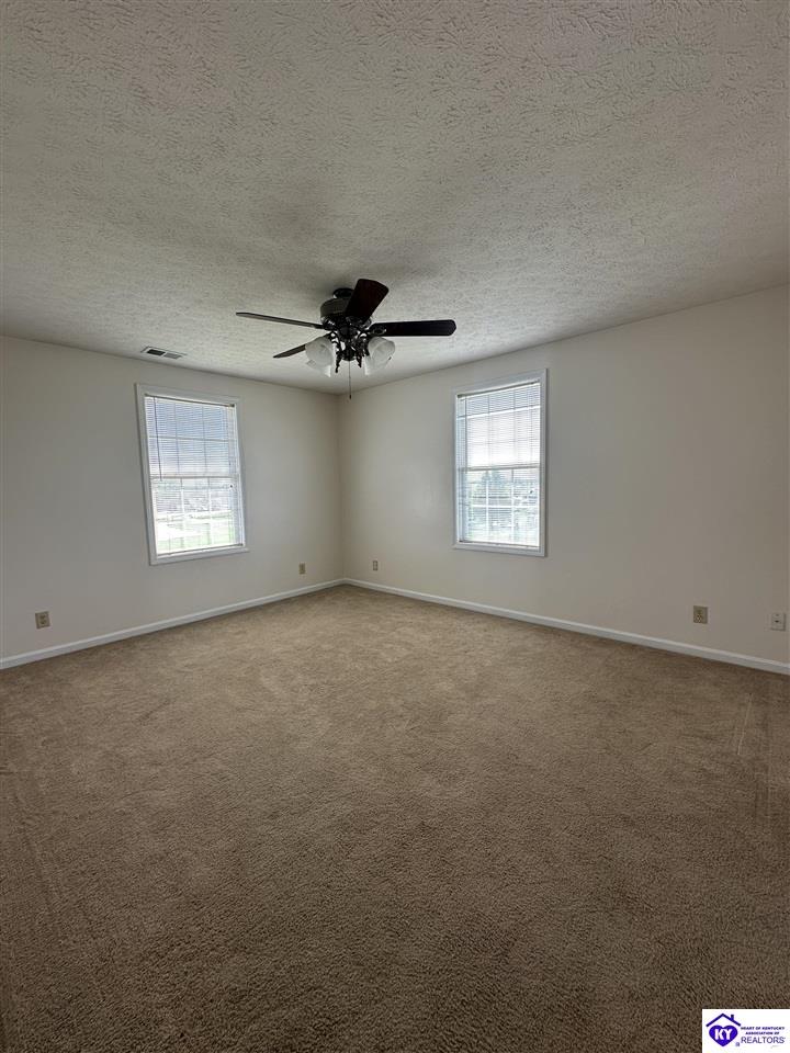 Listing Picture 127 Genrose Drive Rineyville, KY 40162 MLS HK24004509