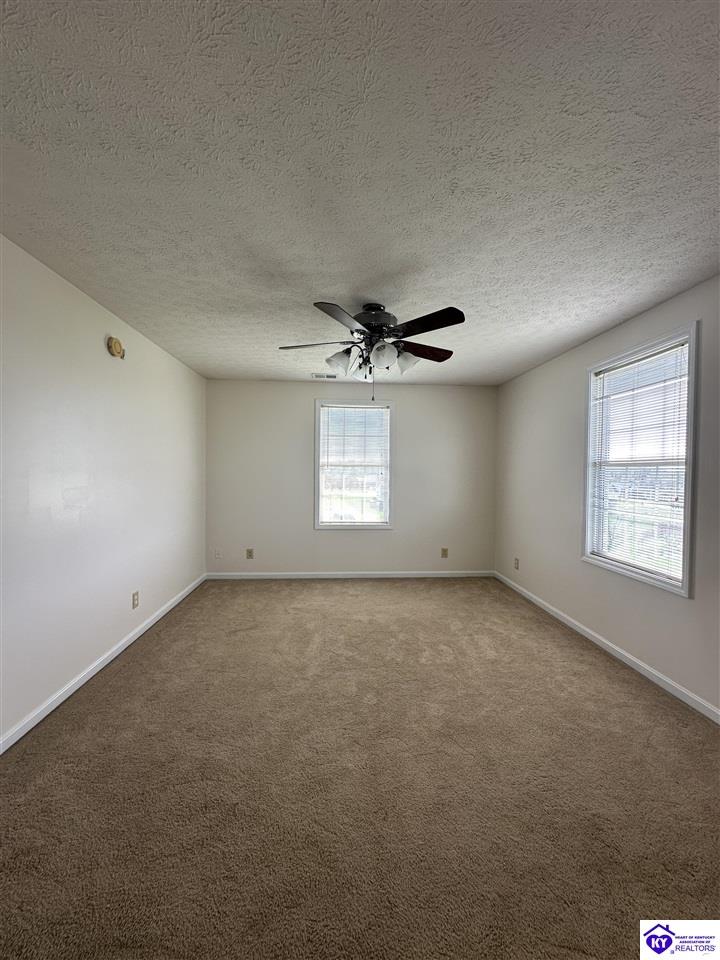 Listing Picture 127 Genrose Drive Rineyville, KY 40162 MLS HK24004509