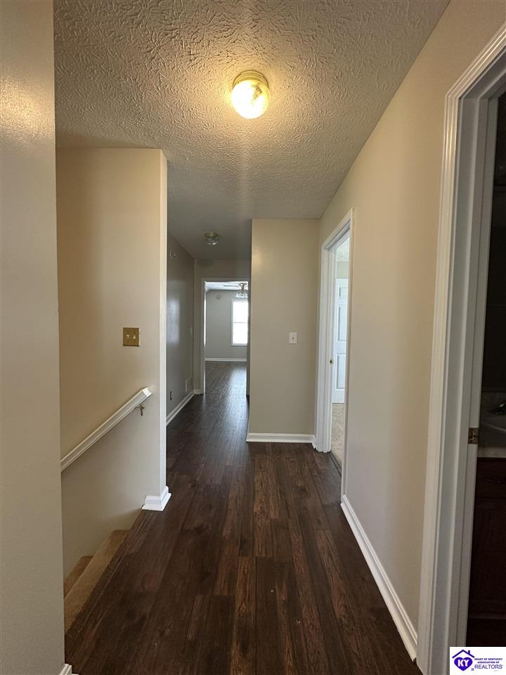 Listing Picture 127 Genrose Drive Rineyville, KY 40162 MLS HK24004509