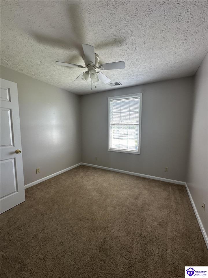 Listing Picture 127 Genrose Drive Rineyville, KY 40162 MLS HK24004509