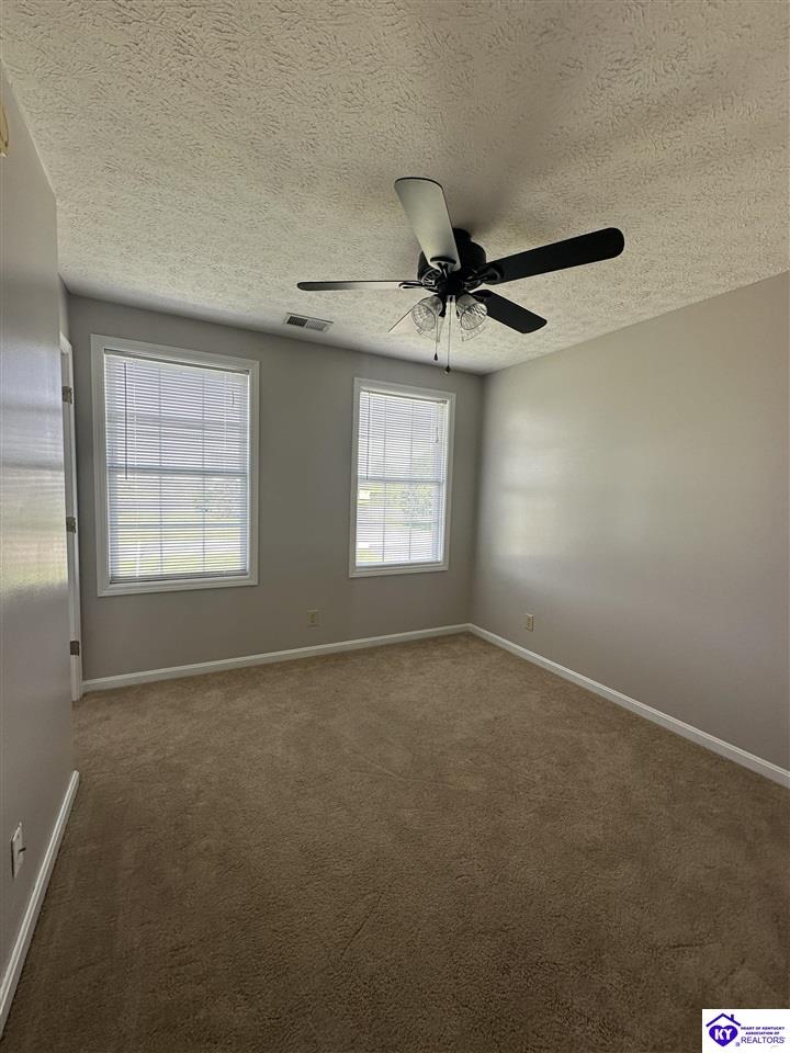 Listing Picture 127 Genrose Drive Rineyville, KY 40162 MLS HK24004509