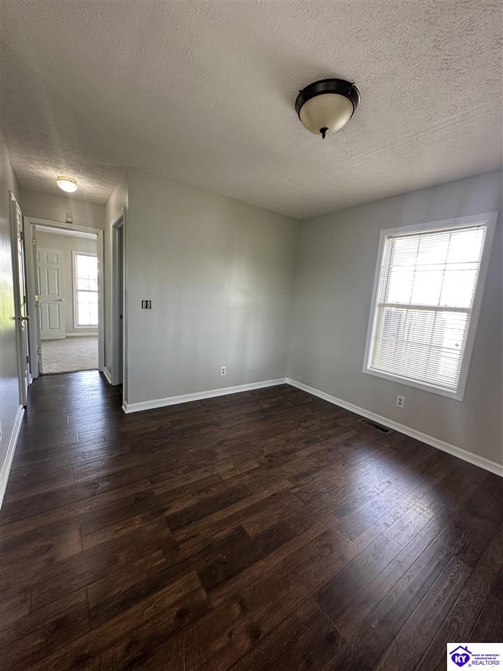 Listing Picture 127 Genrose Drive Rineyville, KY 40162 MLS HK24004509