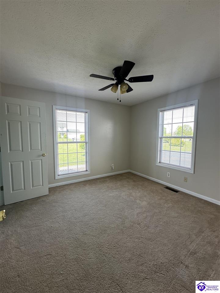 Listing Picture 127 Genrose Drive Rineyville, KY 40162 MLS HK24004509