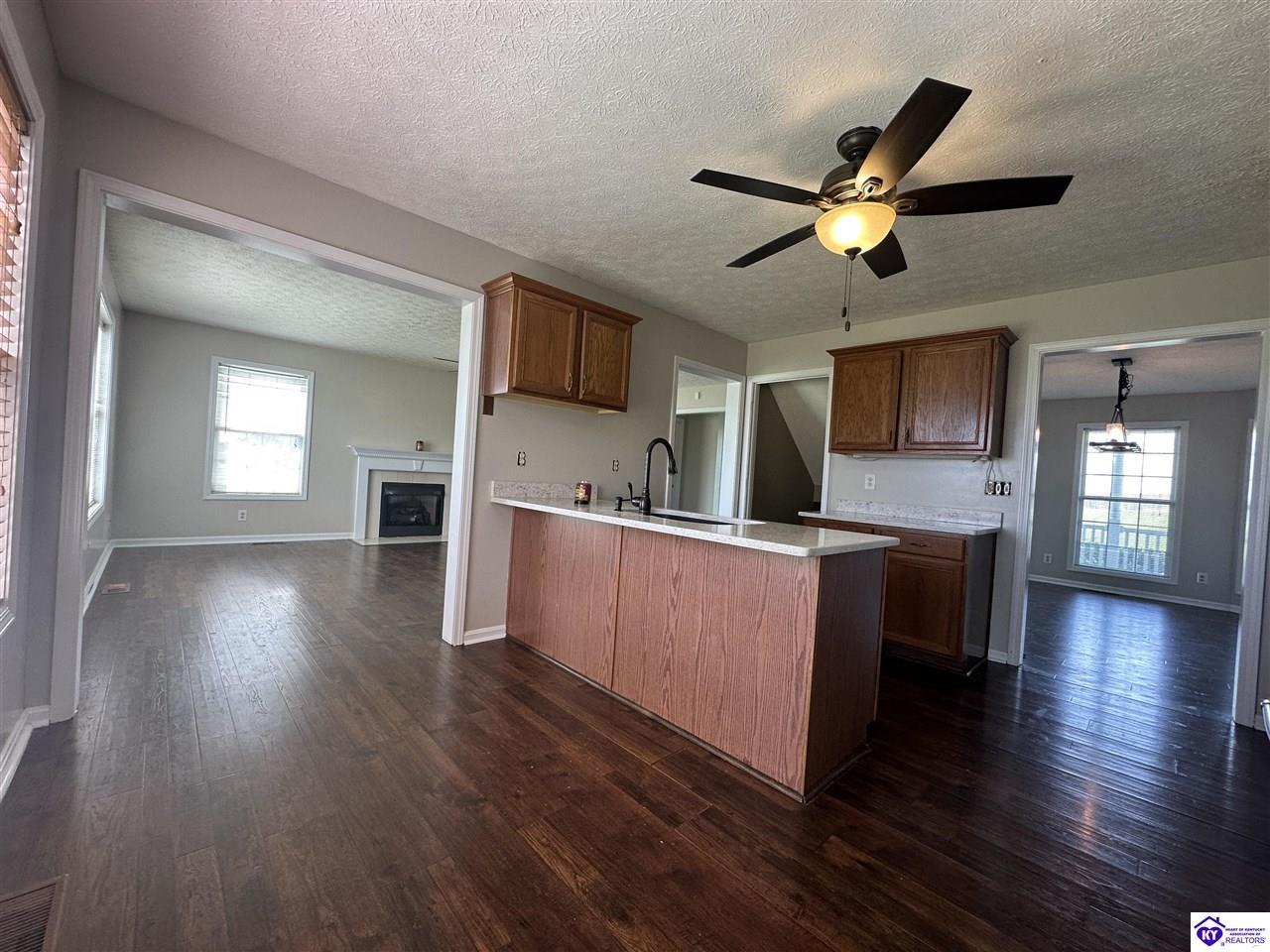 Listing Picture 127 Genrose Drive Rineyville, KY 40162 MLS HK24004509