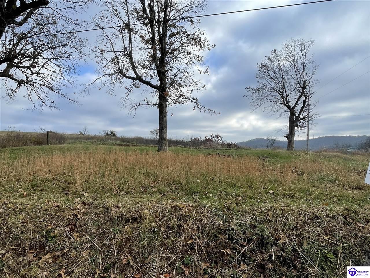 LOT 3 London Pace Sink RoadHorse Cave, KY 42749
