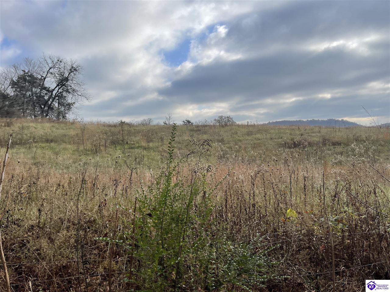 LOT 4 London Pace Sink RoadHorse Cave, KY 42749