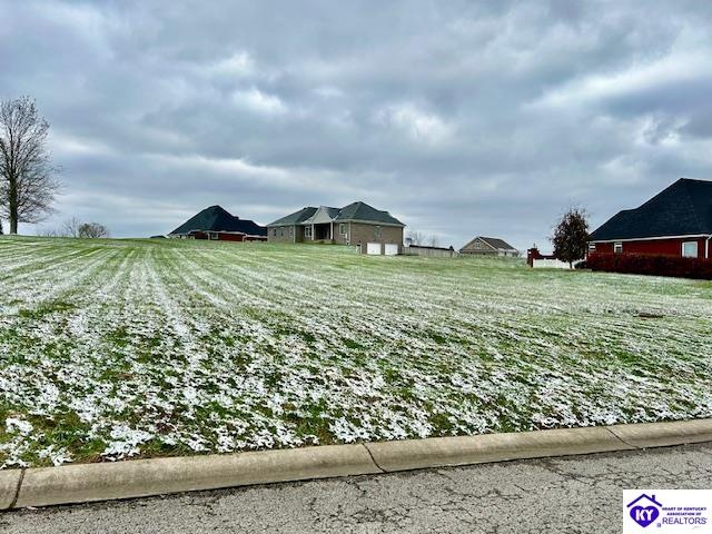 Lot 2 Old Pitman RoadCampbellsville, KY 42718