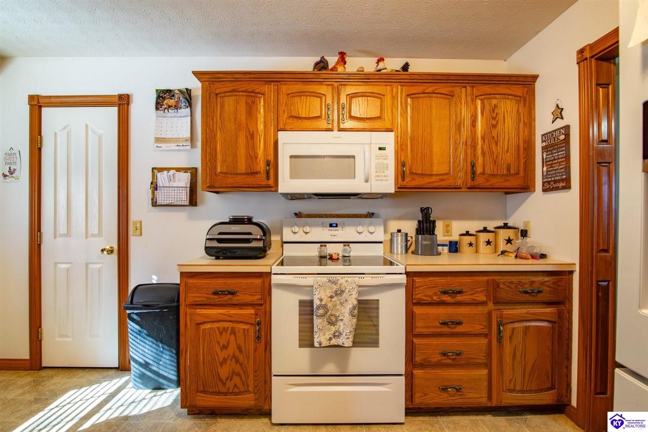 Listing Picture 1543 Youngers Creek Road New Haven, KY 40051 MLS HK24004641