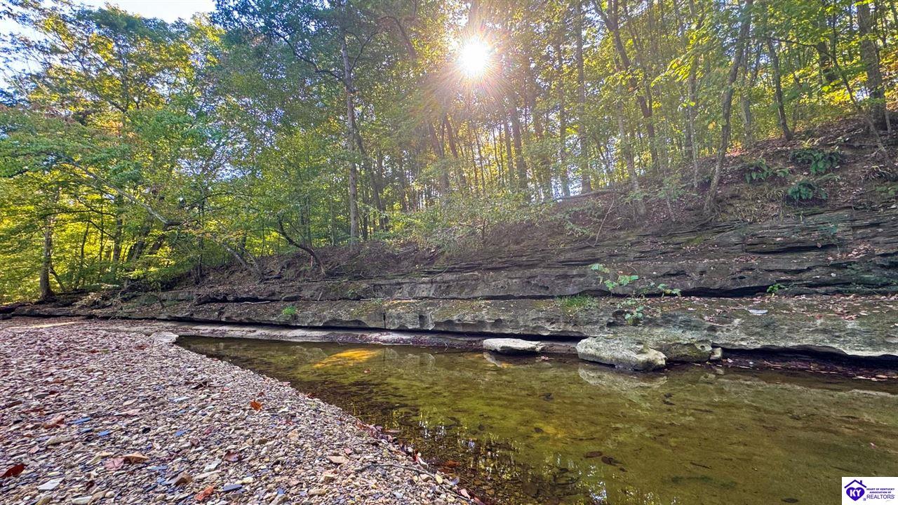 24 Merrimac RoadBradfordsville, KY 40009