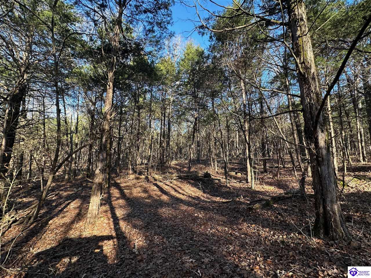 2299 Lone Star RoadUpton, KY 42784