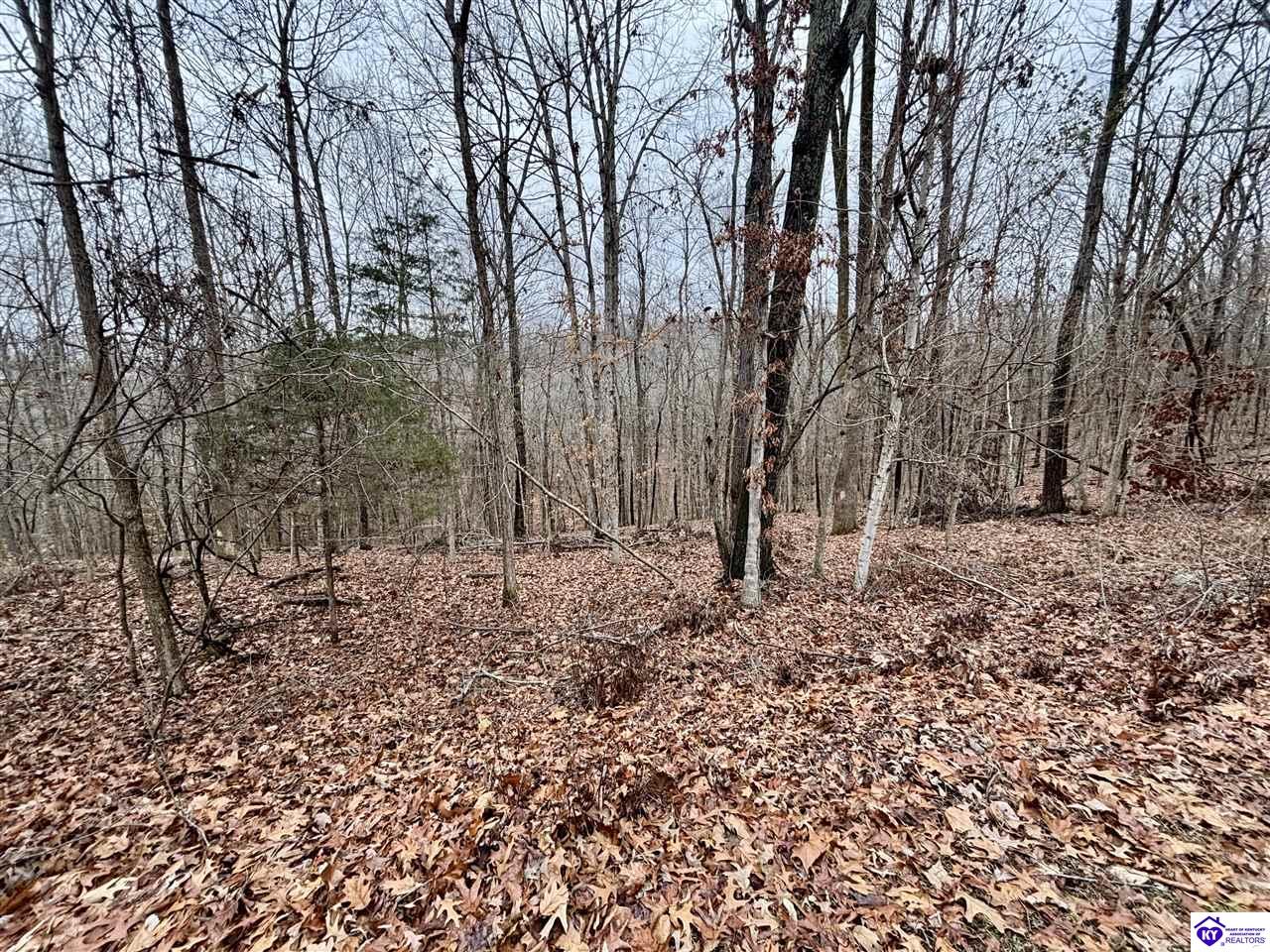 Lot 108 Sunnyview RoadBrandenburg, KY 40108