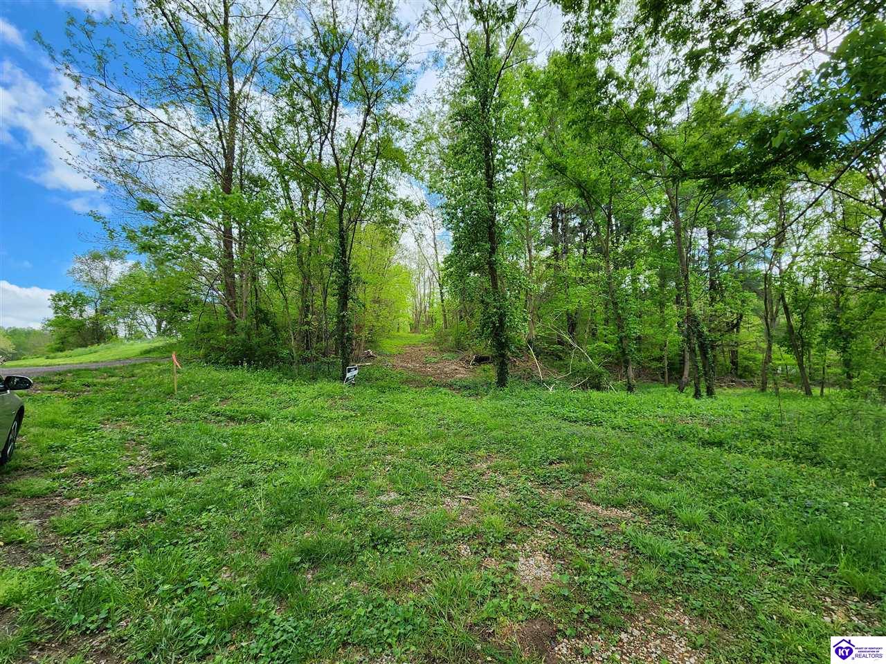 0000 Rineyville Big Springs RoadRineyville, KY 40162
