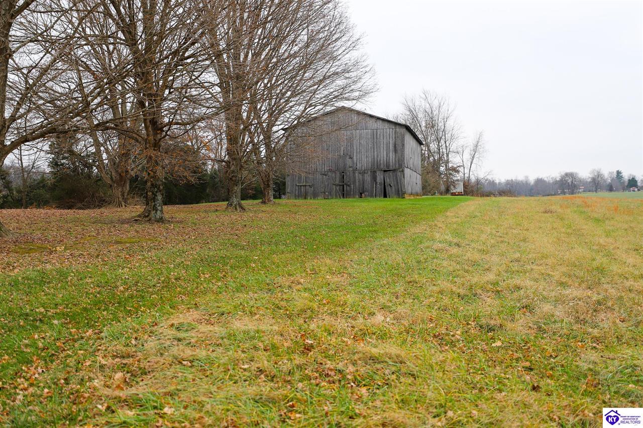 Lot 1D Mud Splash Road Glendale, KY 42740 #1