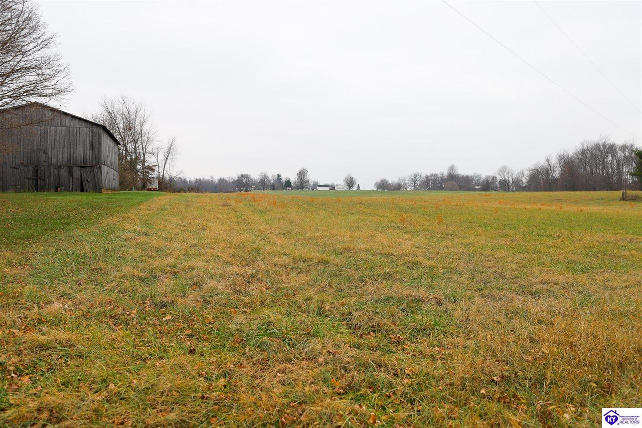 Lot 1D Mud Splash Road Glendale, KY 42740 #3