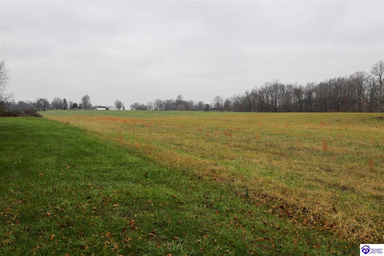 Lot 1D Mud Splash Road Glendale, KY 42740 #4