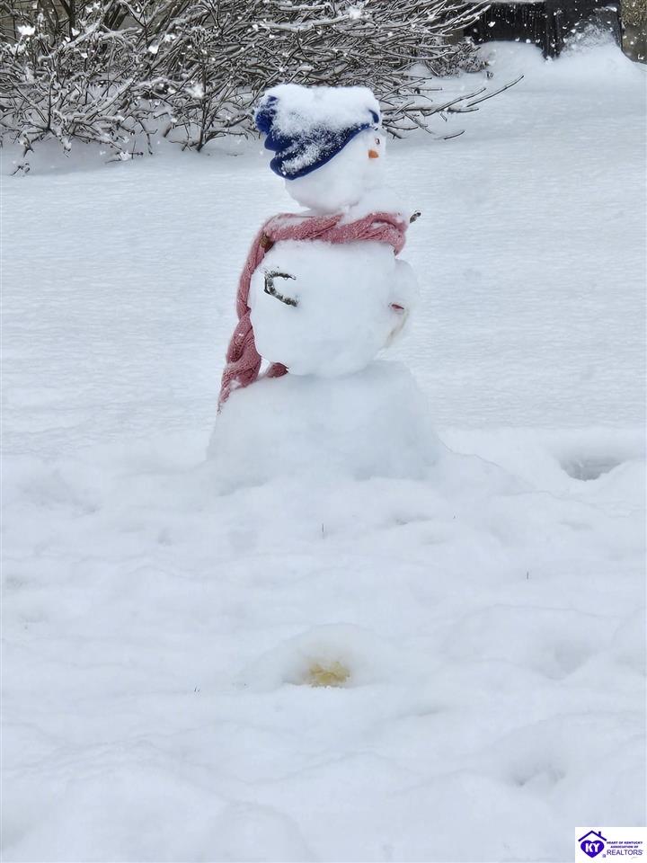 Listing Picture 131 Tyler Drive Shepherdsville, KY 40165 MLS HK25000074