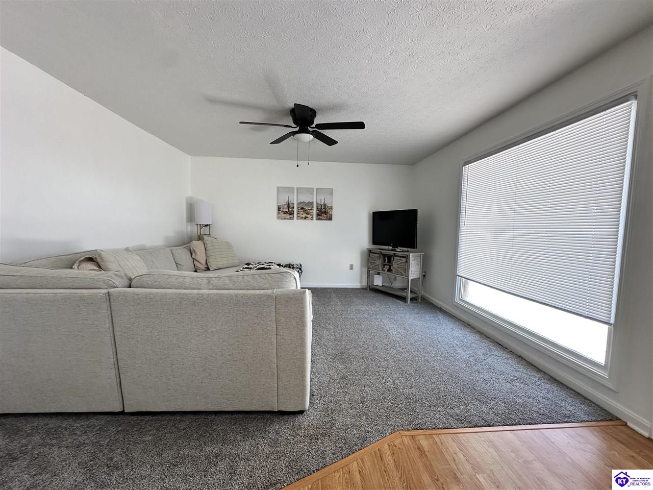 Listing Picture 305 Grant Street Campbellsville, KY 42718 MLS HK25000119