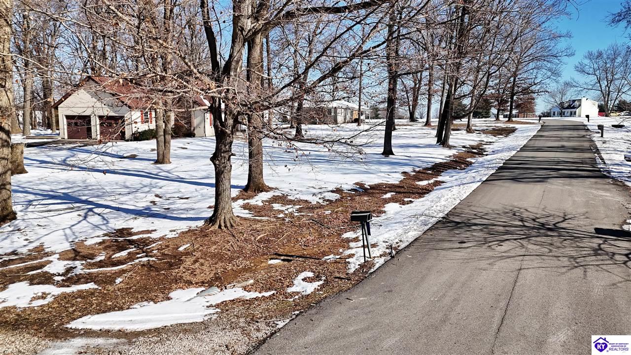 Listing Picture 902 Partridge Way Elizabethtown, KY 42701 MLS HK25000145