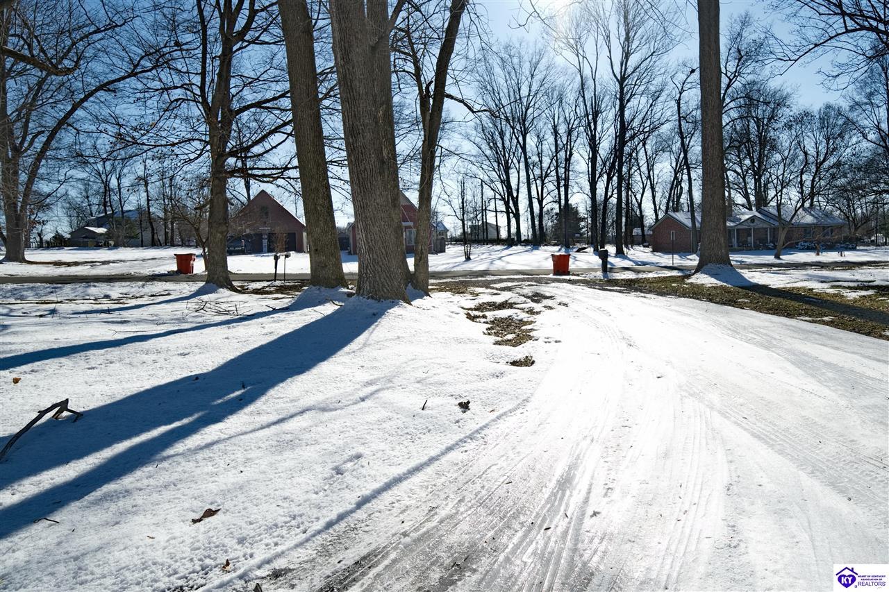 Listing Picture 902 Partridge Way Elizabethtown, KY 42701 MLS HK25000145