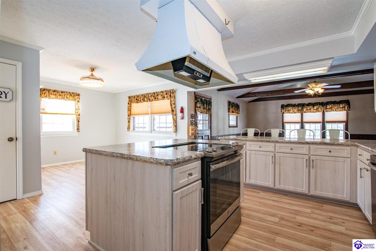 Listing Picture 2995 Garrett Road Ekron, KY 40117 MLS HK25000179