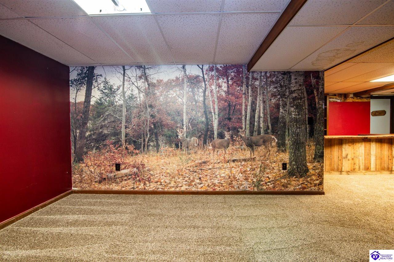 Listing Picture 2995 Garrett Road Ekron, KY 40117 MLS HK25000179