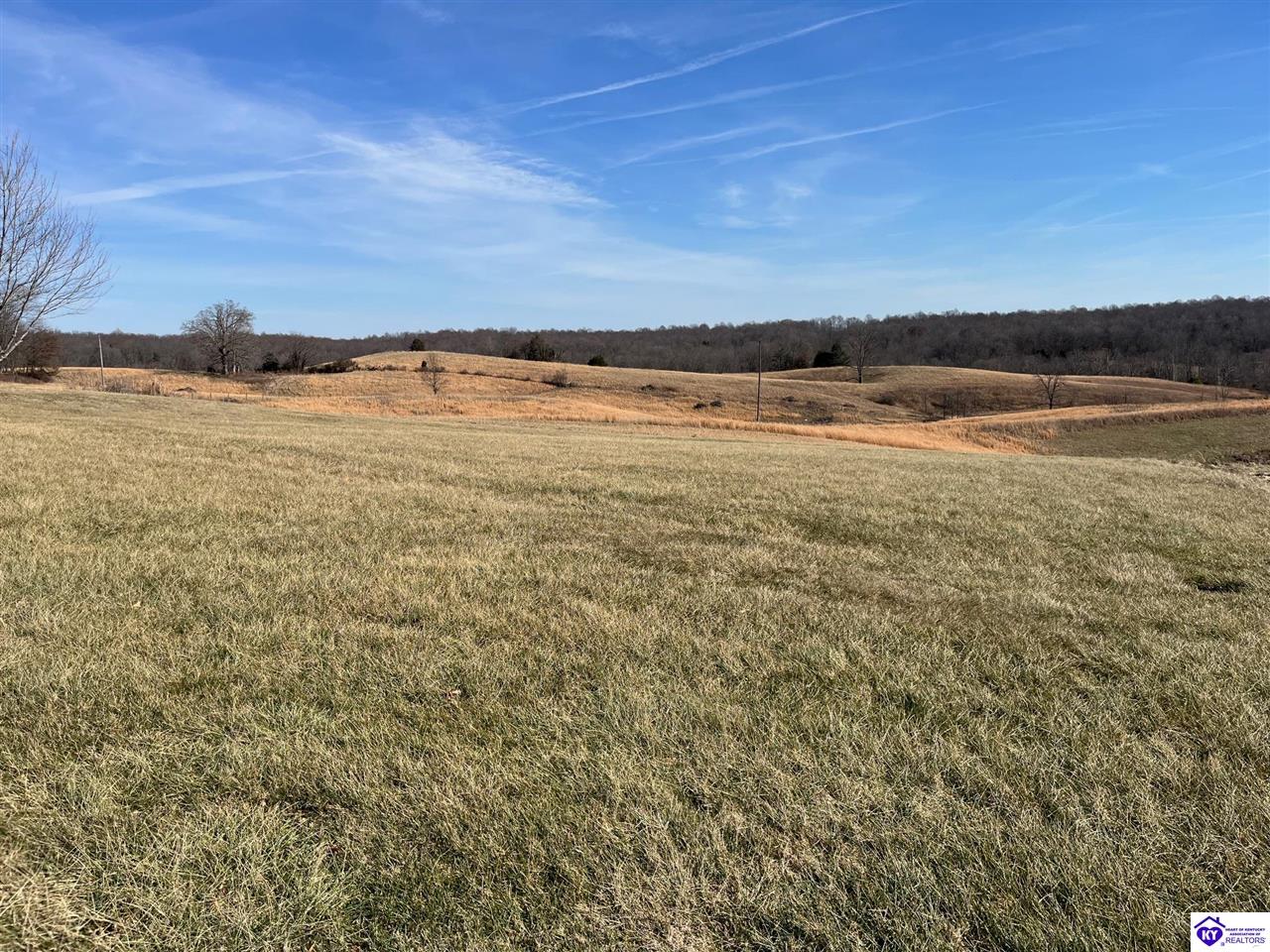160 Quarry Hill Road Magnolia, KY 42757 #4