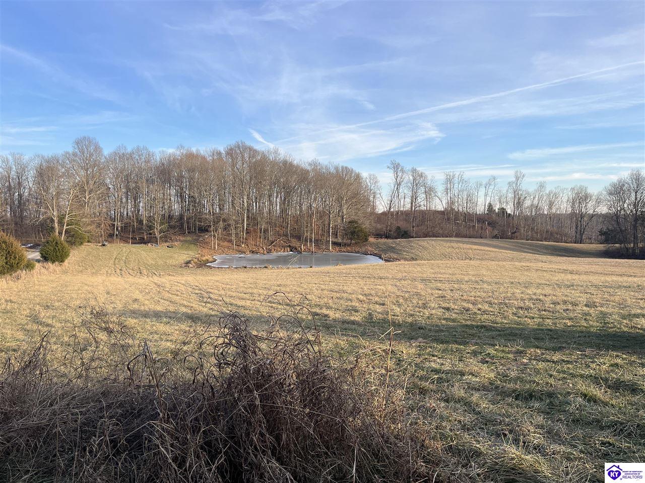 0 S Skaggs-Dobson RoadSummersville, KY 42782