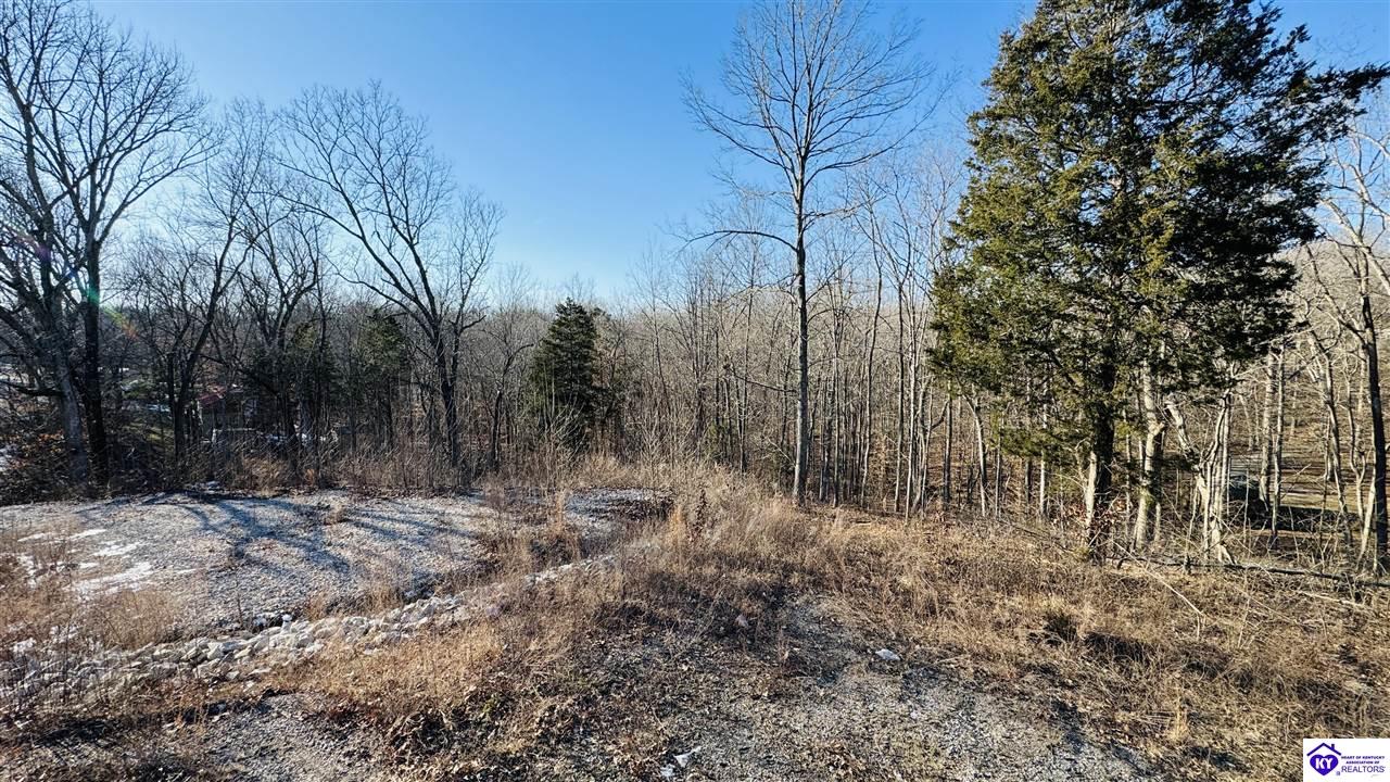 179 Tules Creek LoopWest View, KY 40178