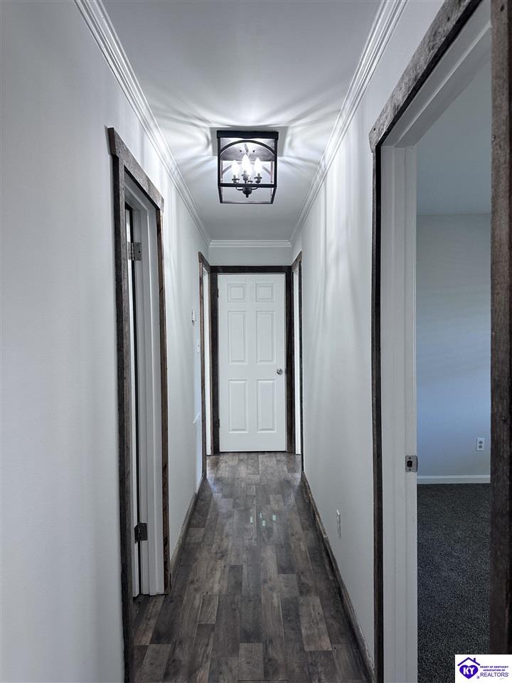 Listing Picture 815 Davis Road Campbellsville, KY 42718 MLS HK25000263