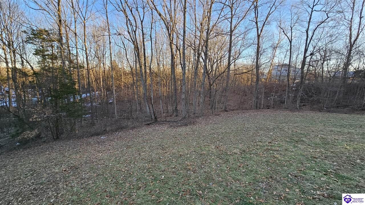 Listing Picture 206 S Boundary Road Elizabethtown, KY 42701 MLS HK25000279